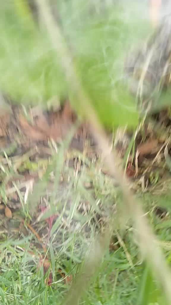 @MR.S.K.KUMAR