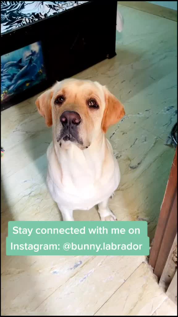 @user38530715122