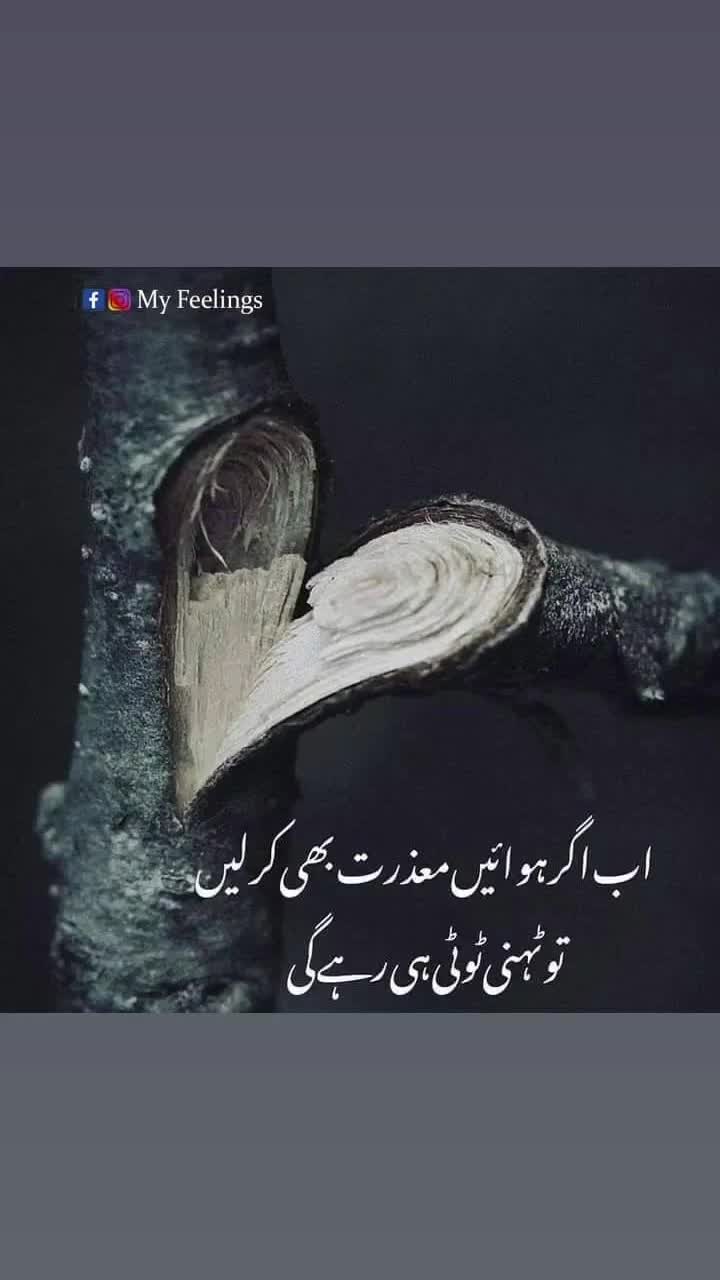 @user778755