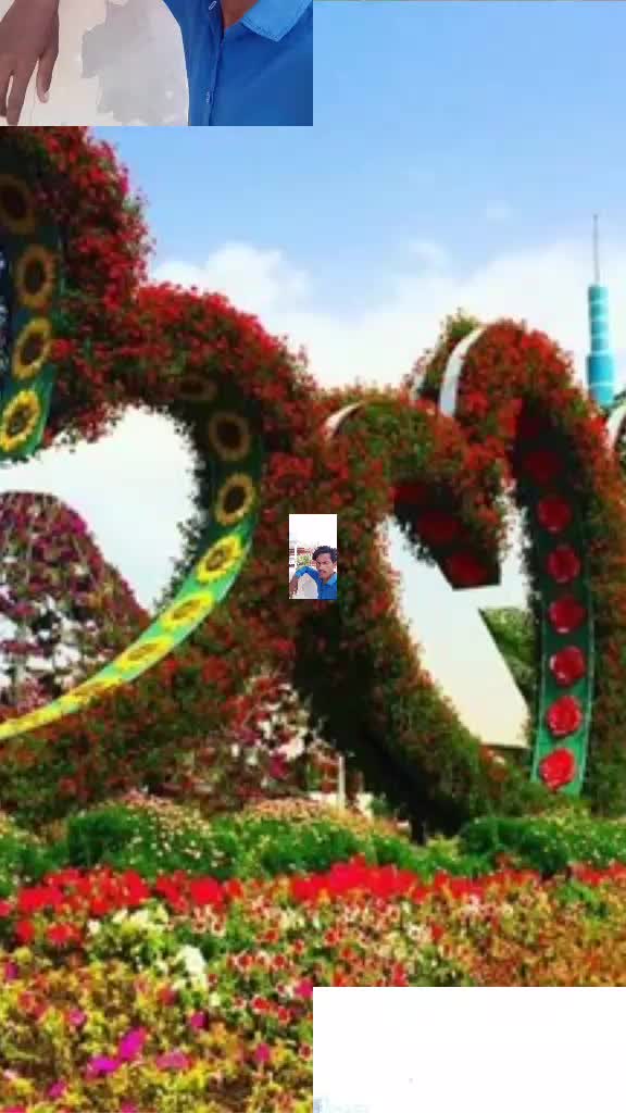 @Reghu