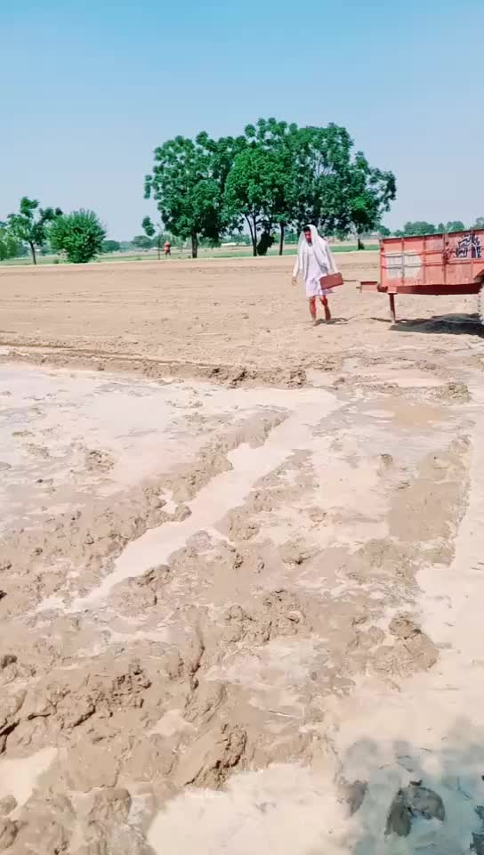 @Brar 595