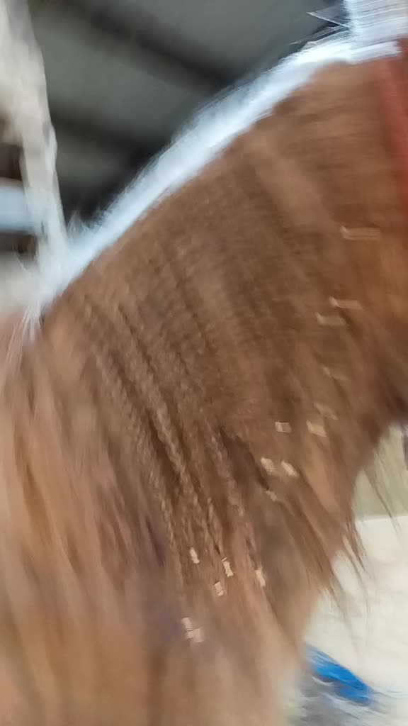 @horsie_rider