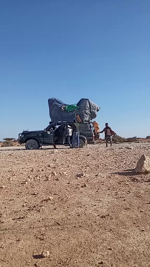 @maxaad__wali87