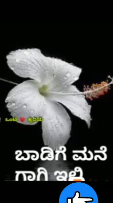 @munna,nadaf
