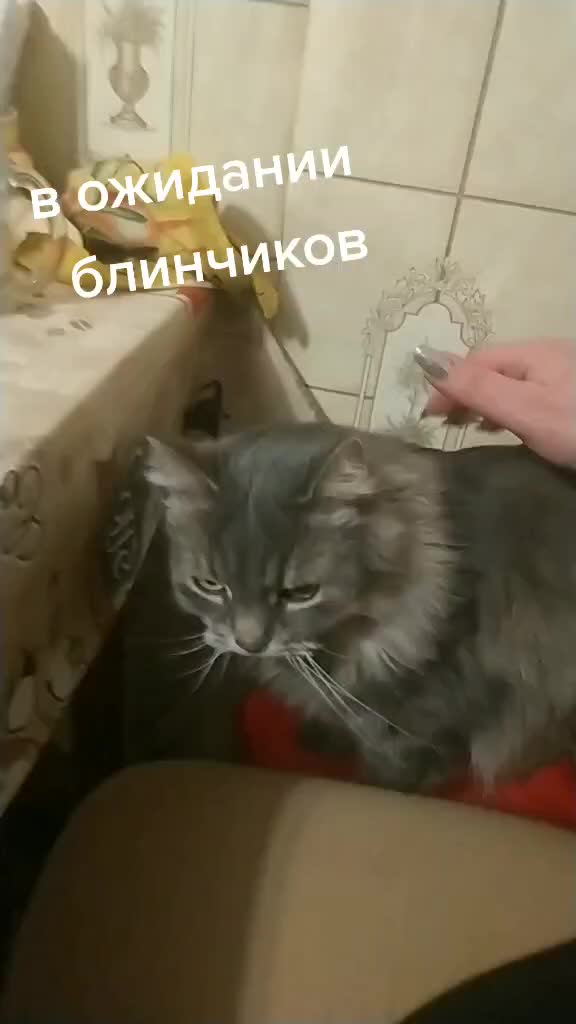 @Anna Rostovskaya113