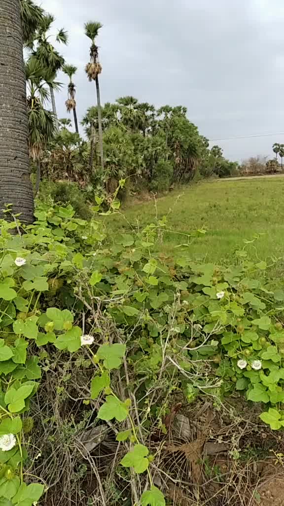 @Udaykiran Udaykiran