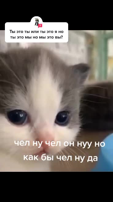 @Верстак
