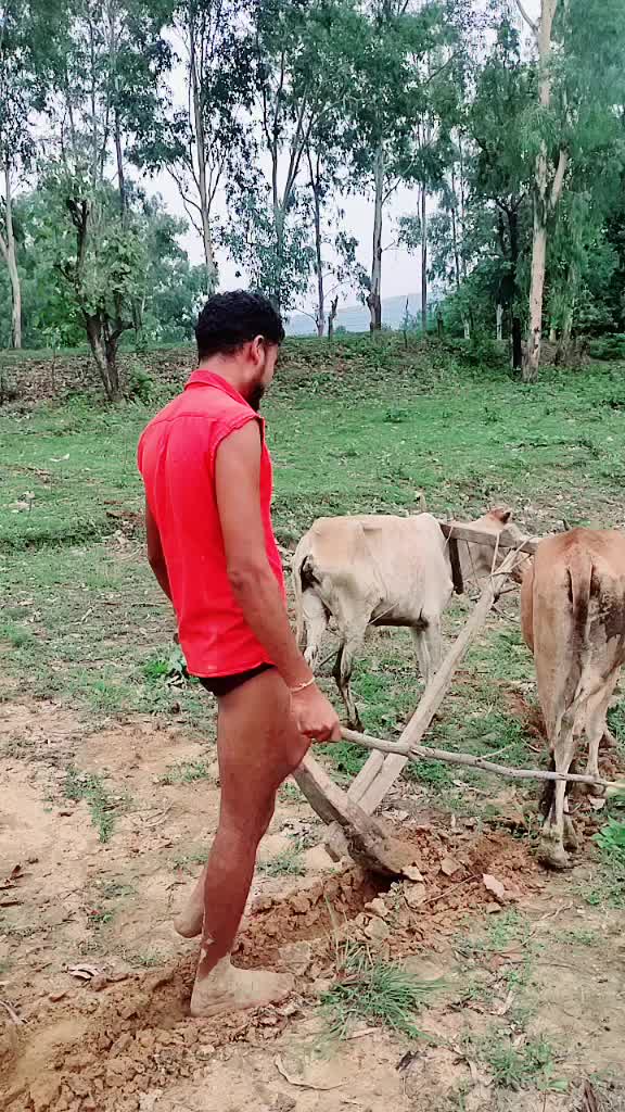 @Harish Koram