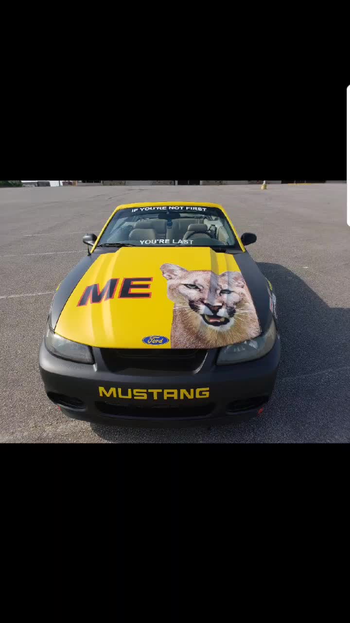 @A1dipping