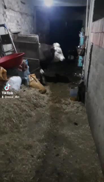 @yakup gökmen