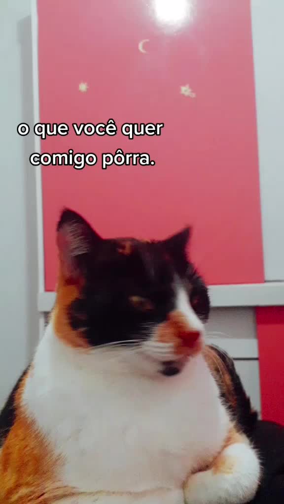 @Gabi☽︎