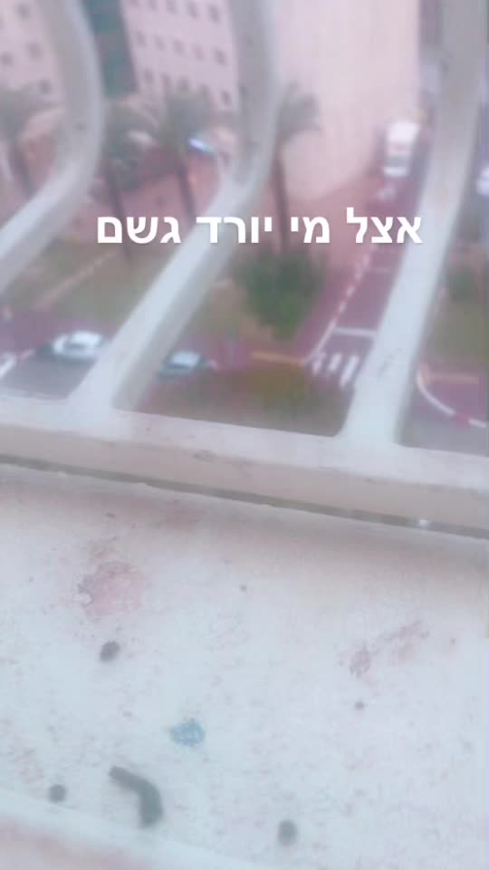 @taliya Biton