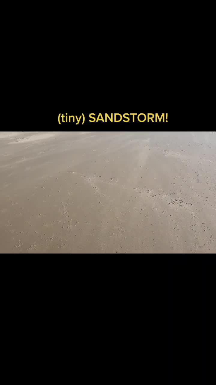 @MisterDylan🐉