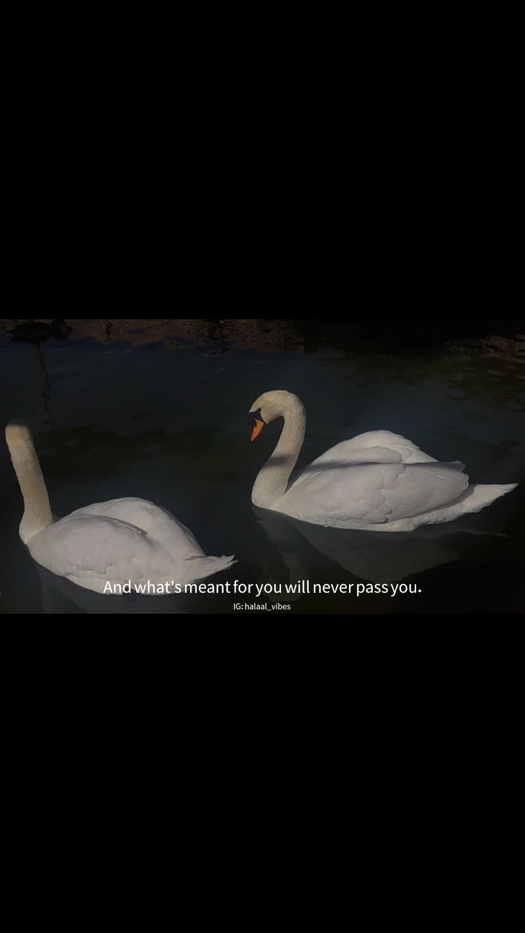 @مسلمة