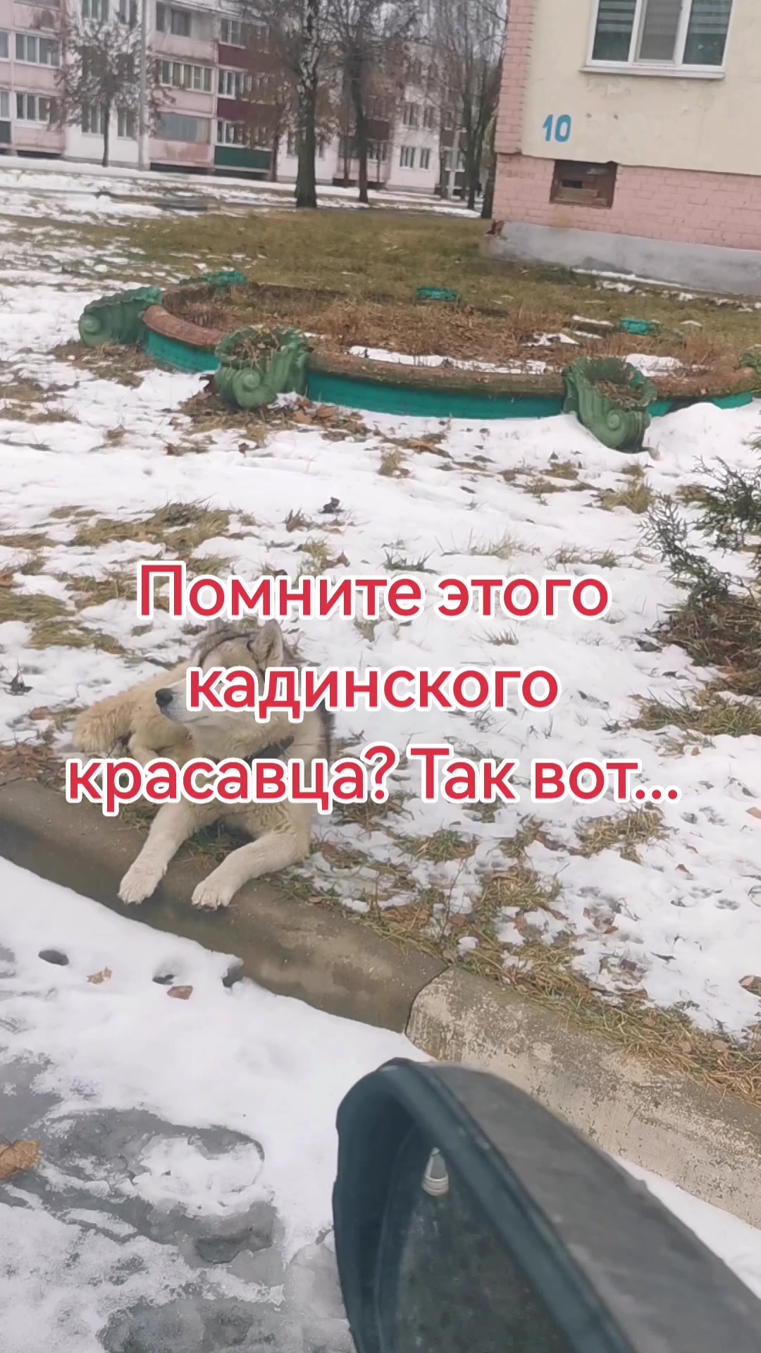 @Слава
