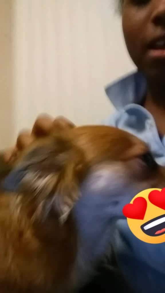 @keke17777