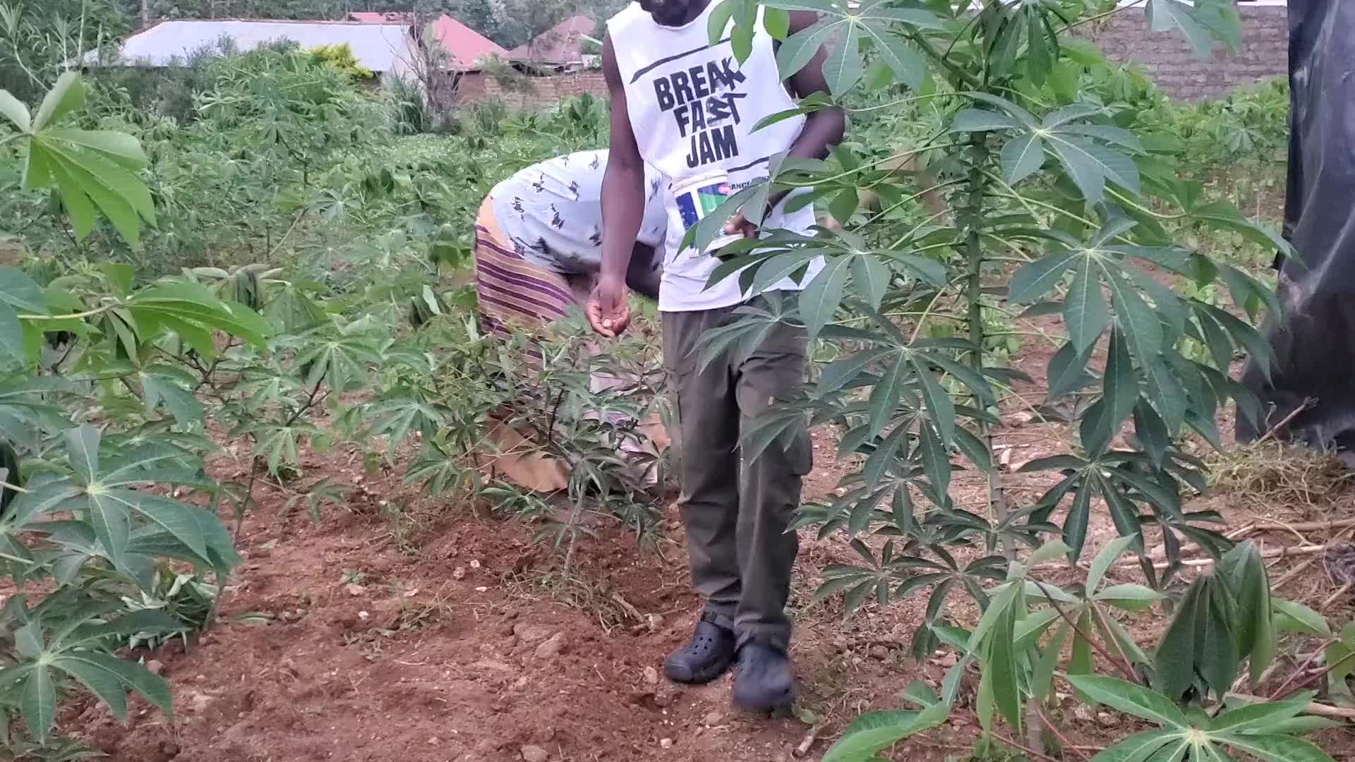 @BADEST DAGZEE UG