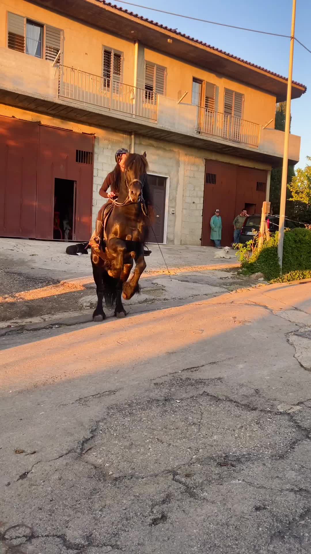 @jessicatricoli
