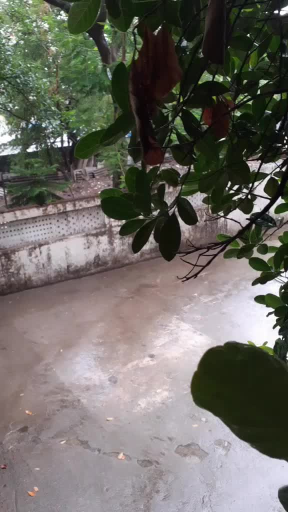 @Sachin Devadiga