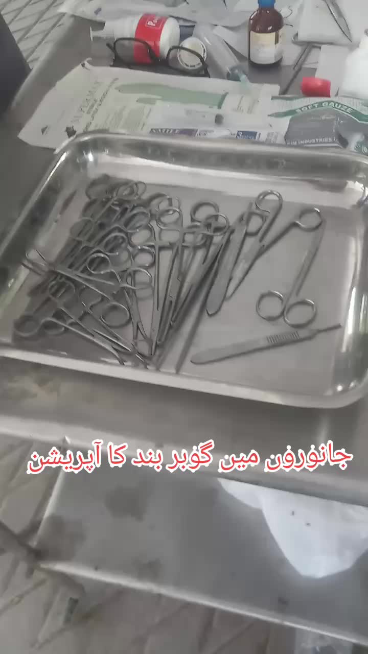 @Dr Abdullah