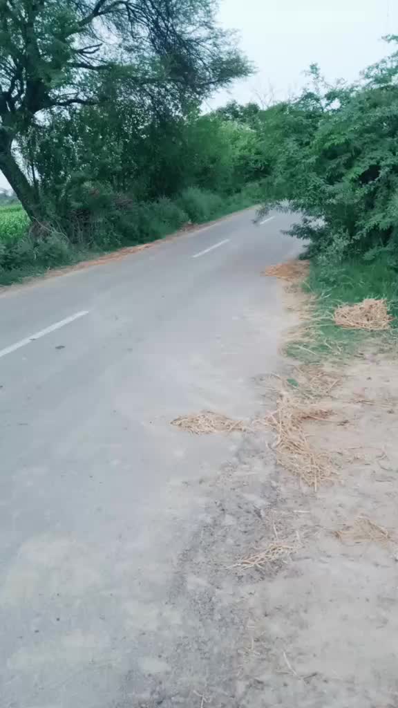 @vikas Gahlawat 500