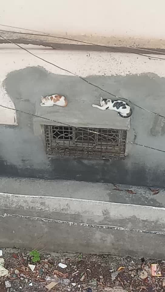 @Sahil Patil