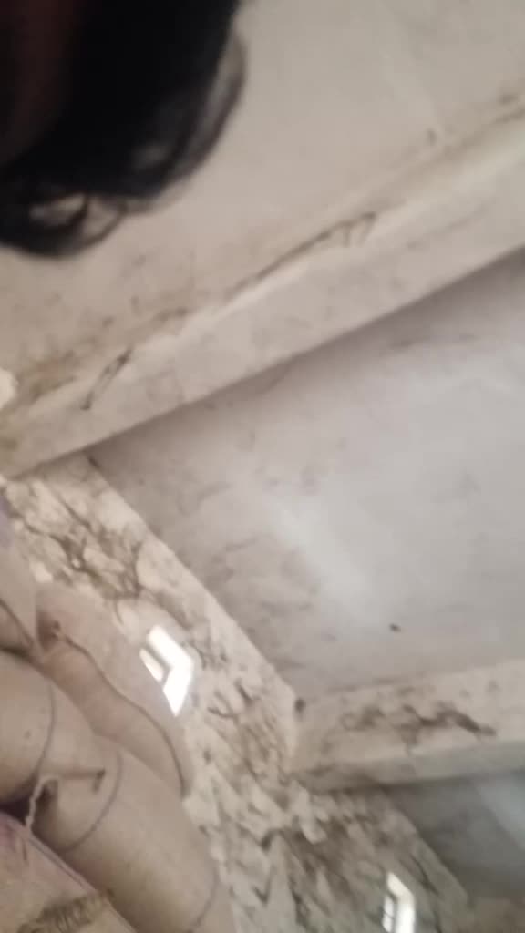 @user447566