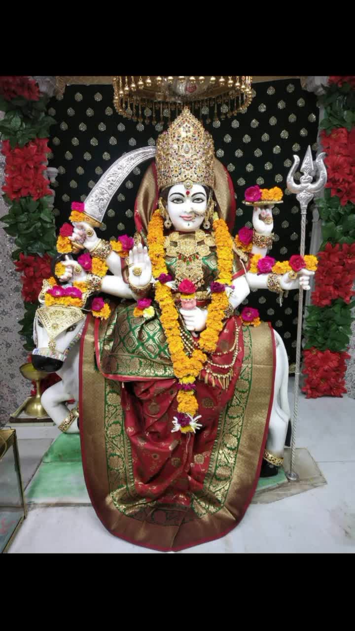 @user8558983136054