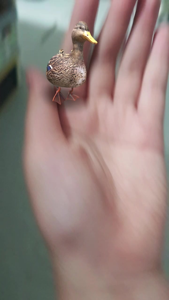 @아무거나계