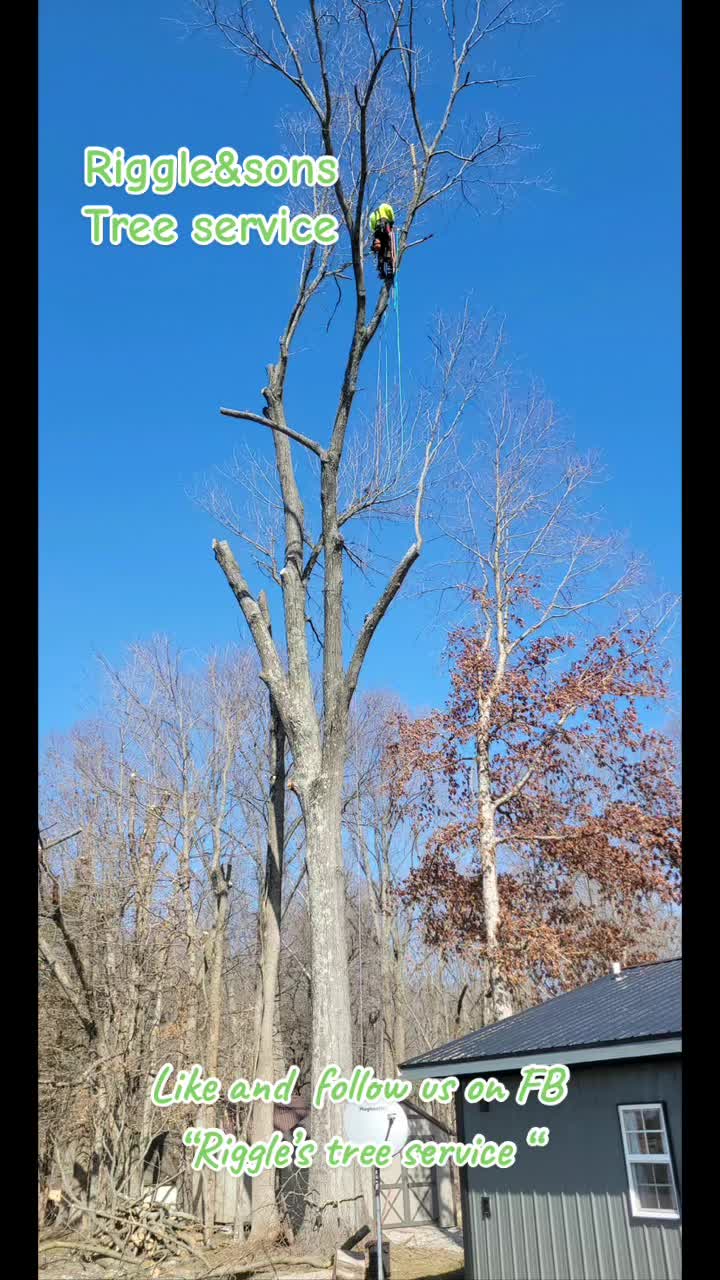 @Treeman45