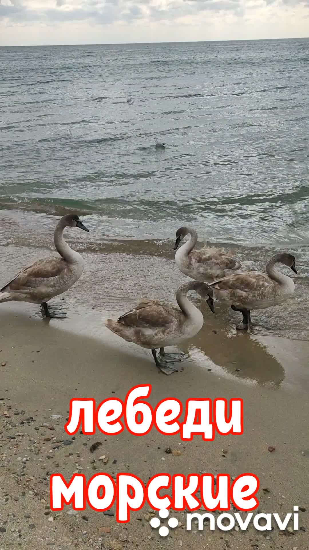 @Алексей