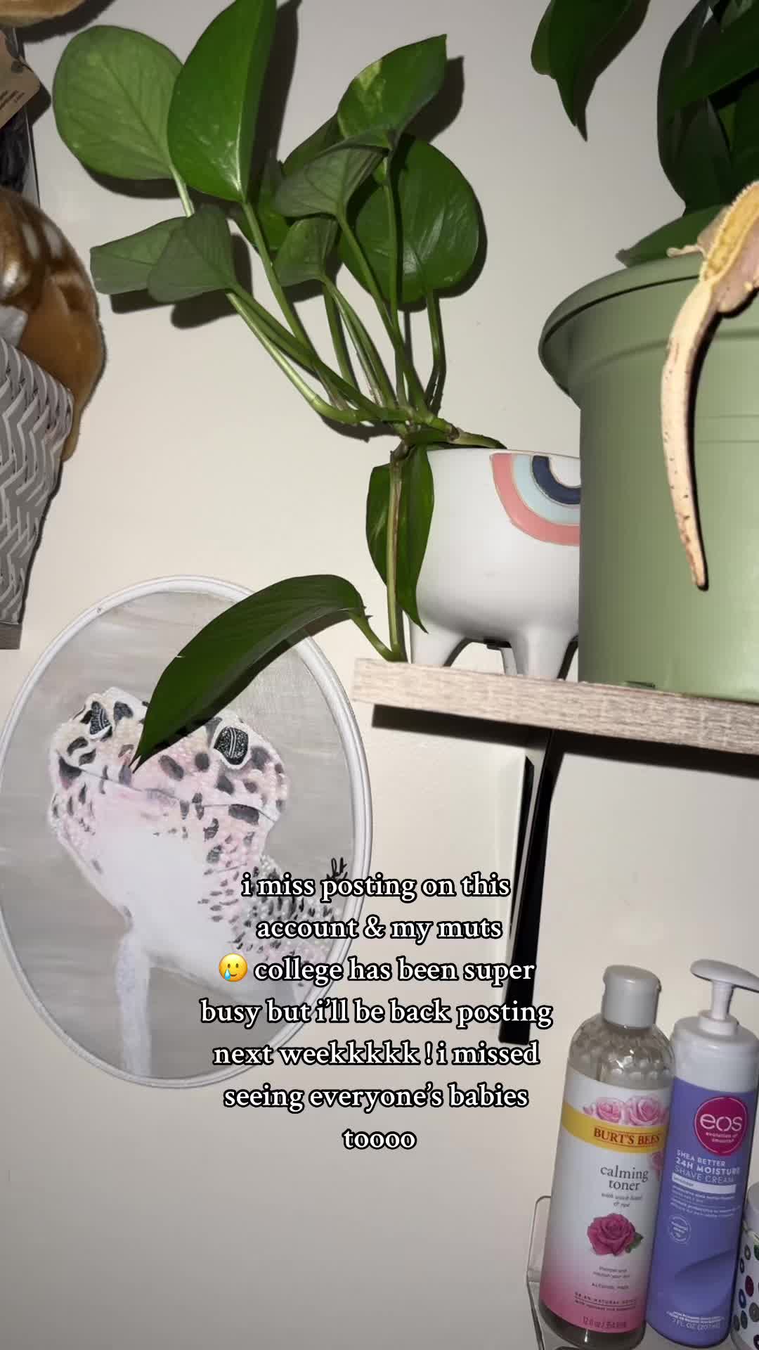 @faith𓆈🌱