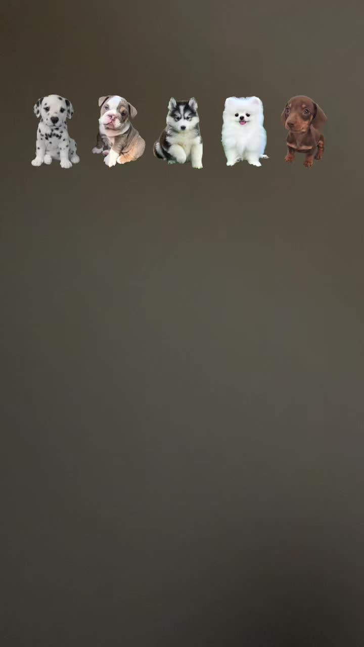@obv29coco4