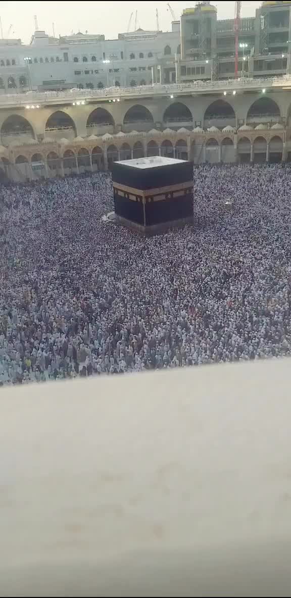 @ziya368