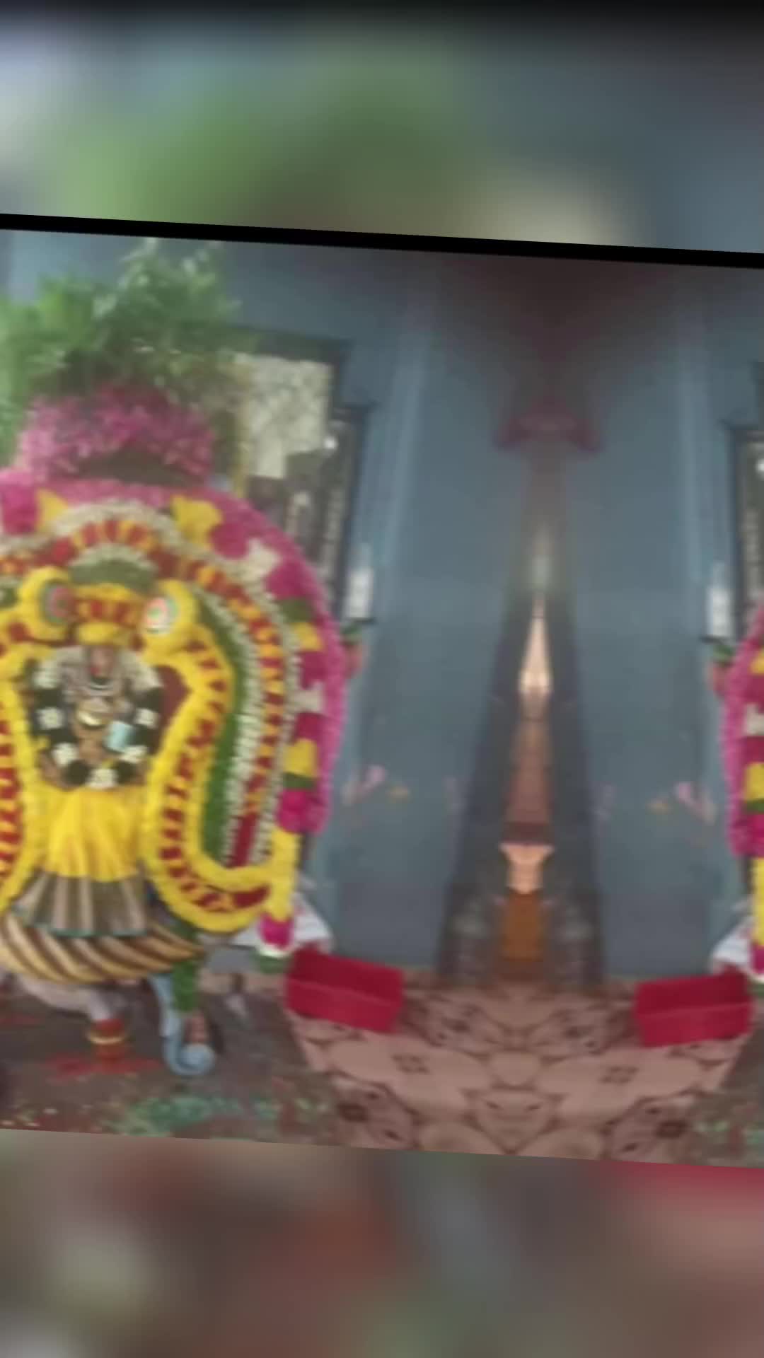 @FLOWER MANI