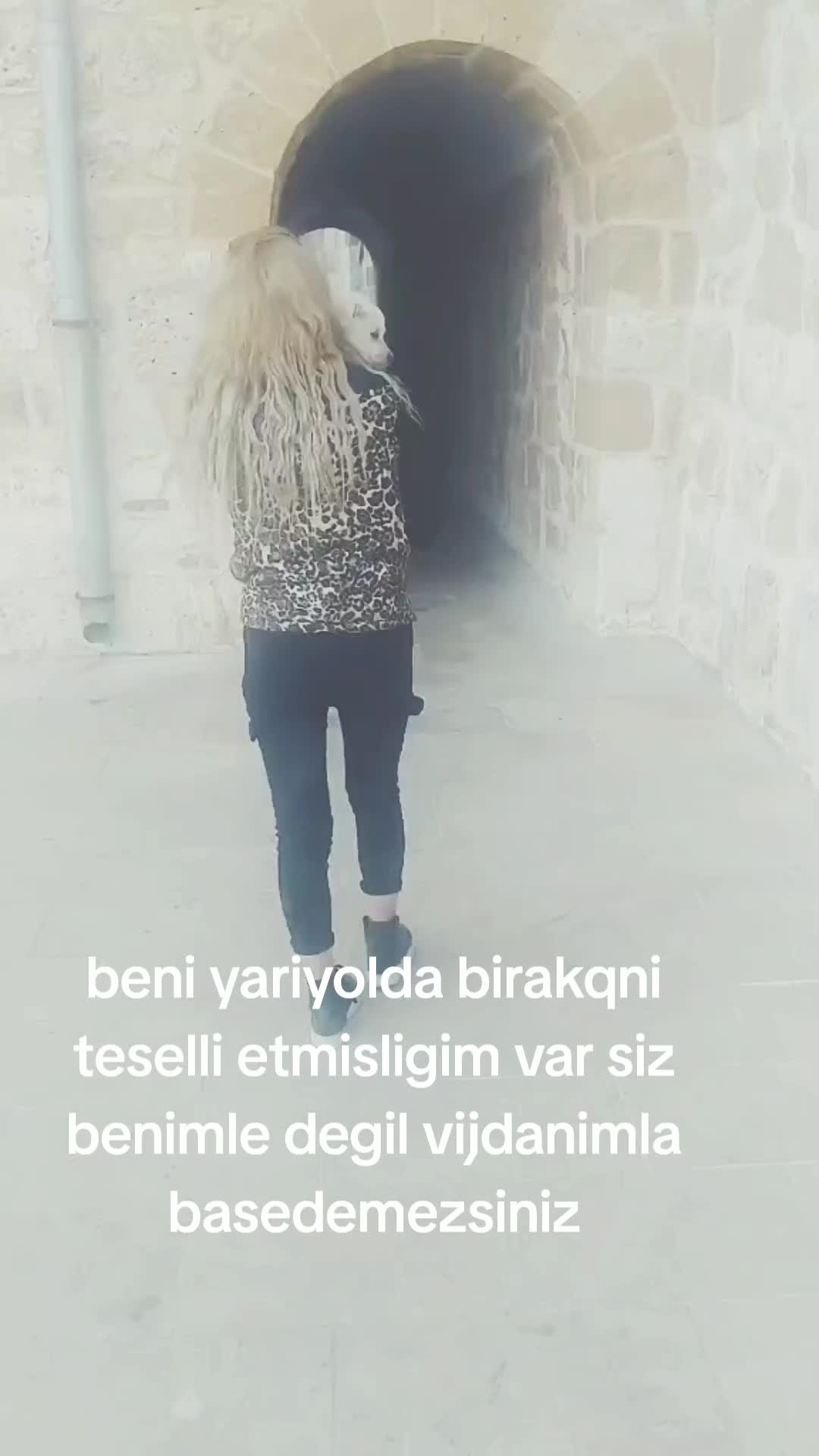 @Axina_dilemin