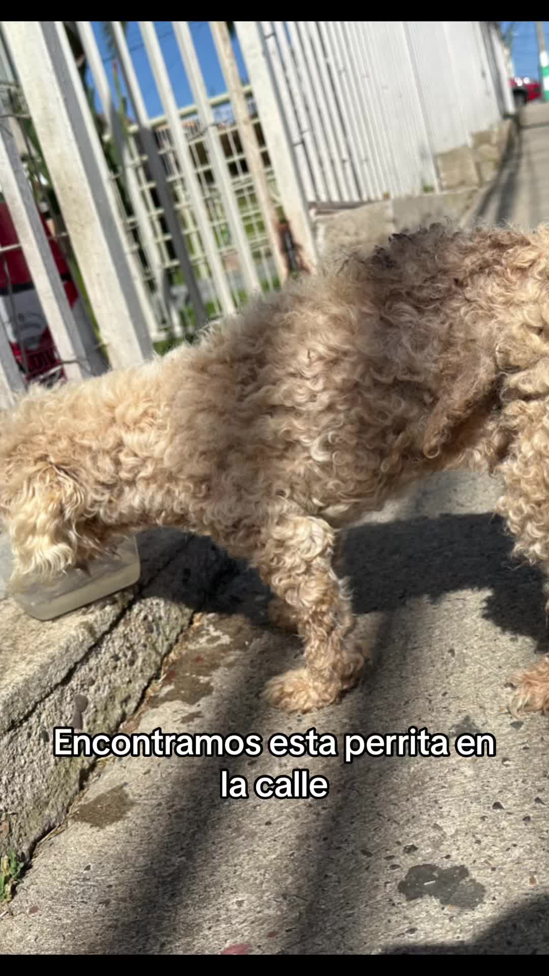 @Javi Jeldez