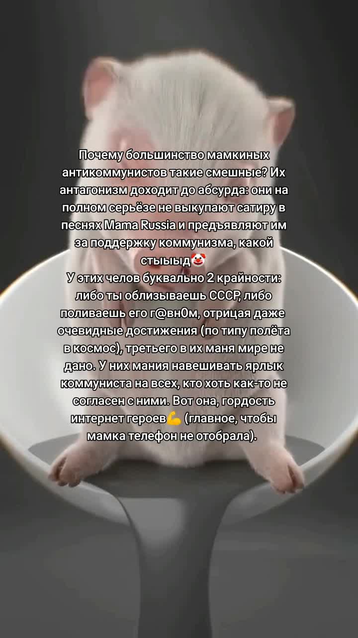 @Степан красные пупки🖼️🇩🇪