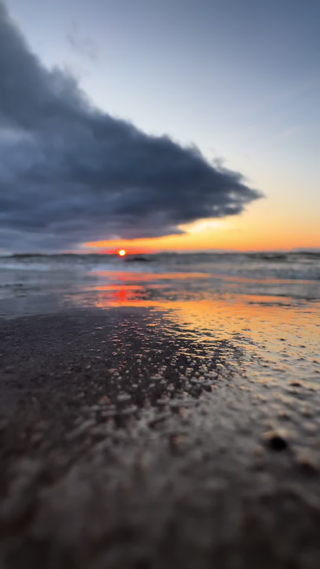@LiberteLiga