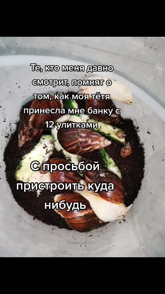 @Snails