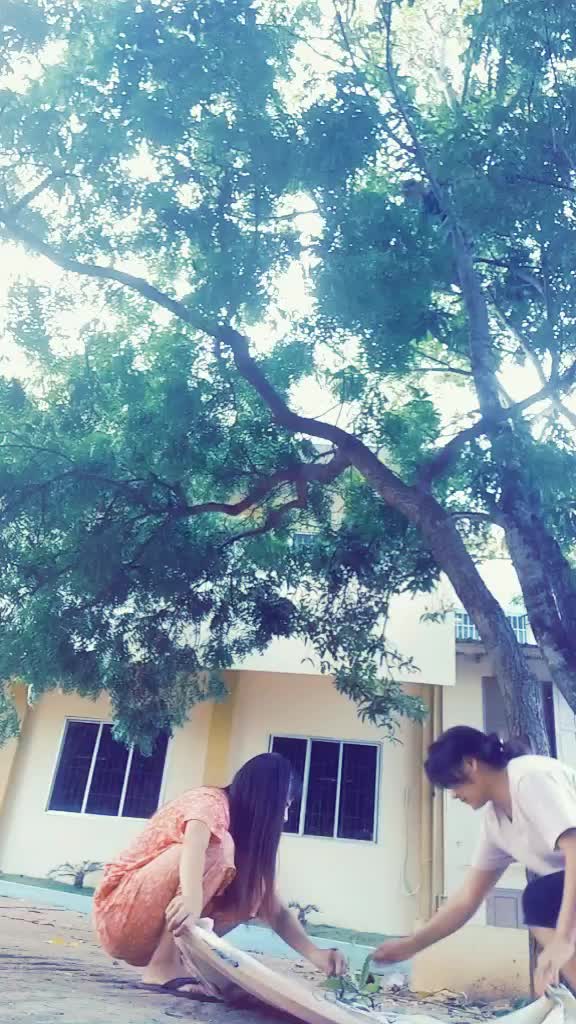 @Alibo Zhimolimi