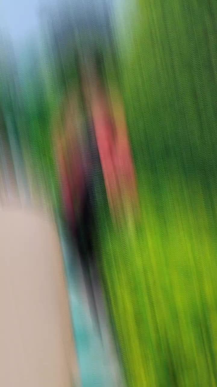 @user1190085141619