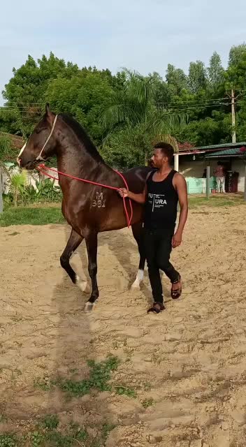 @🏇Sonu rider🏇