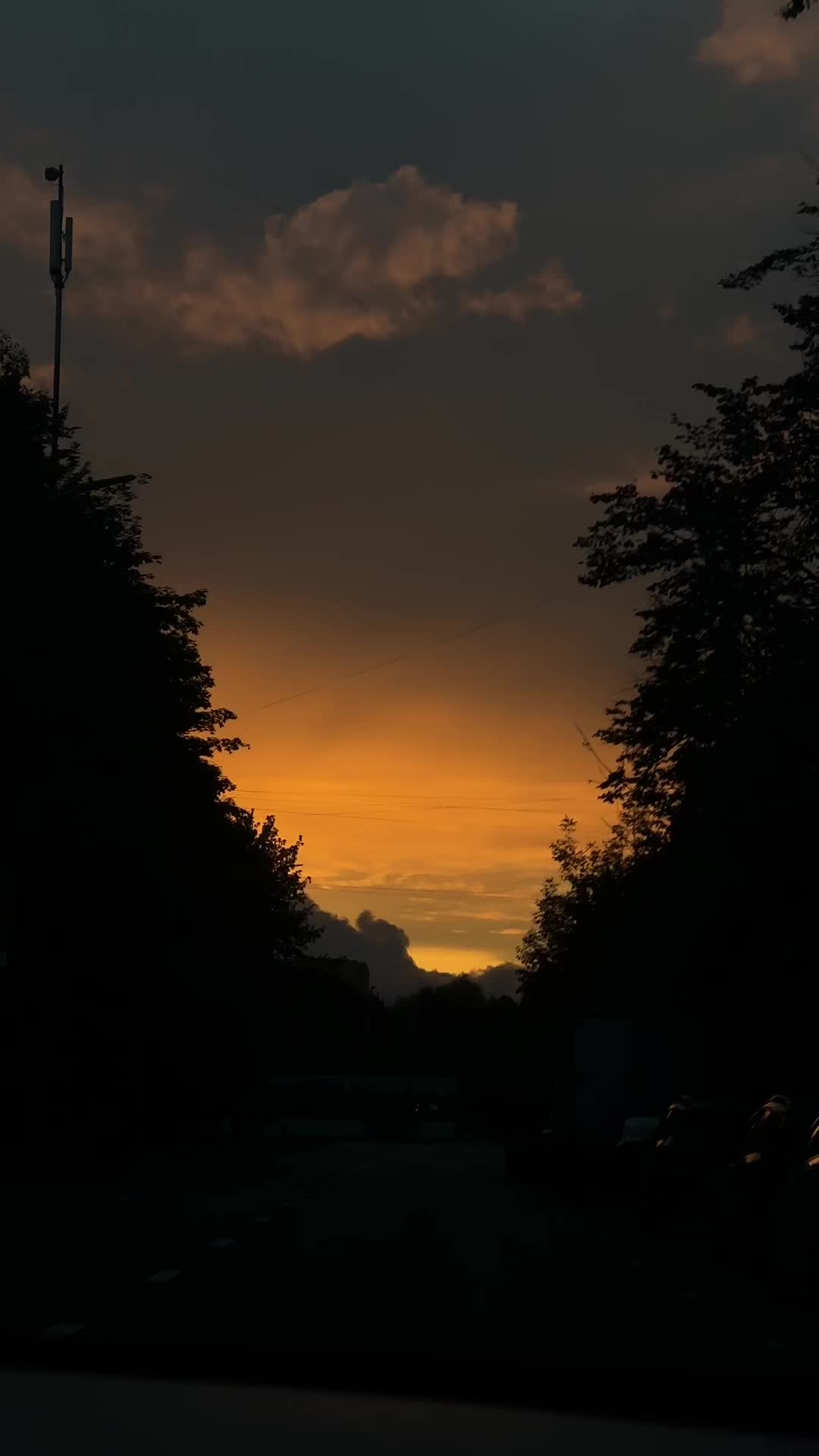 @vikikassel