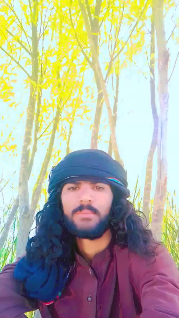 @nehalkhan25277