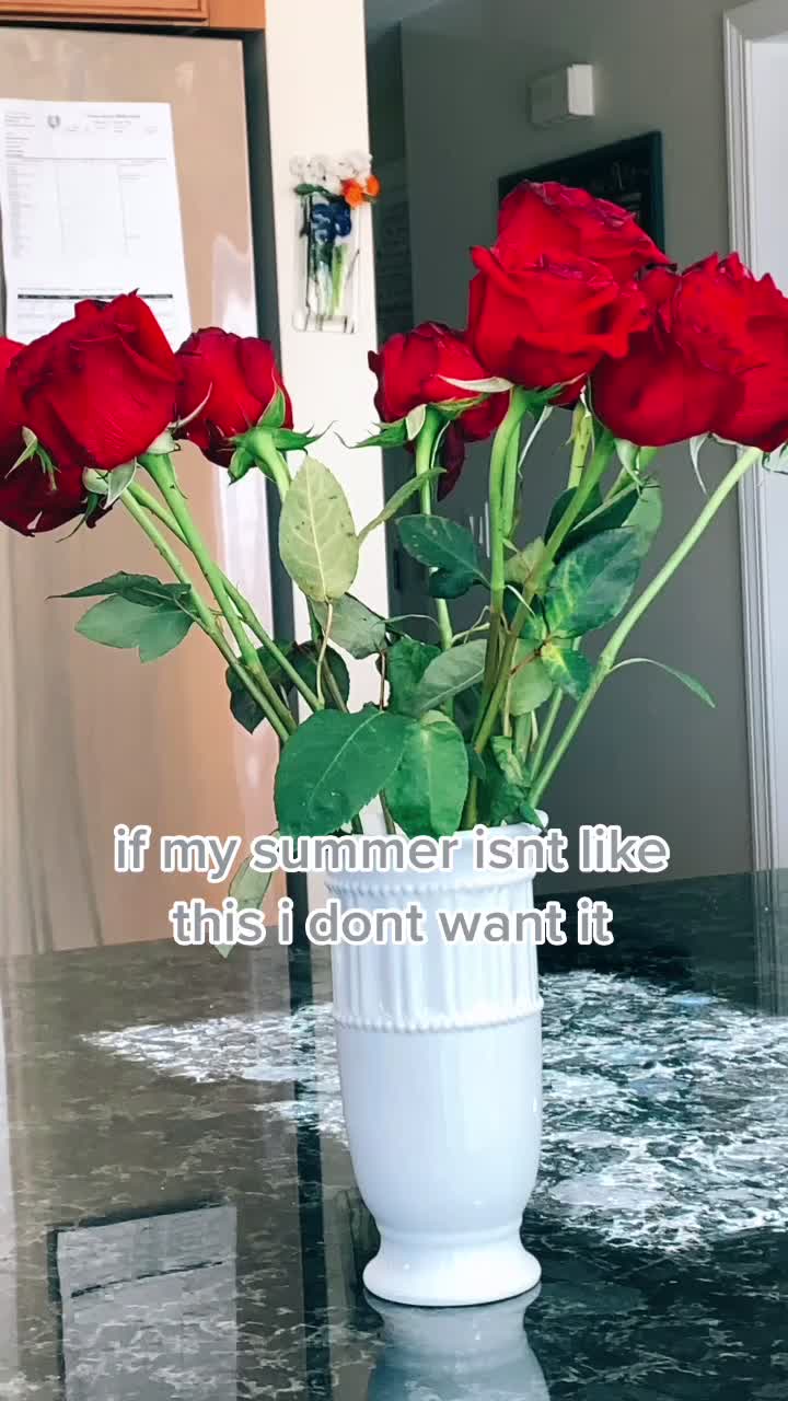 @シシ𝚒𝚗𝚜𝚙𝚘