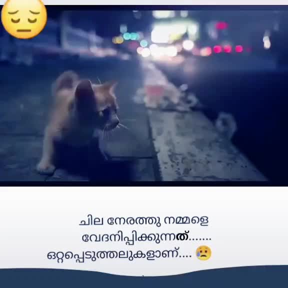 @PraveeshTV