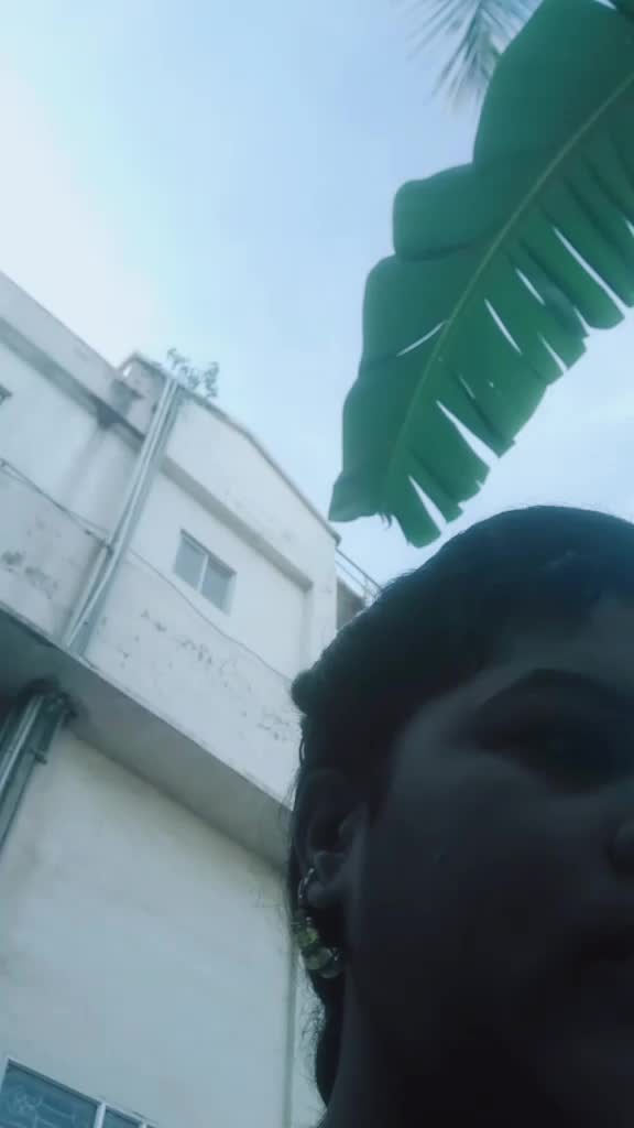 @user5041160652019