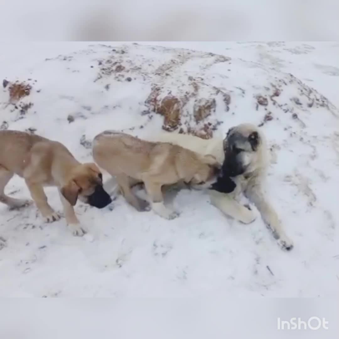 @Сашуля Милашка