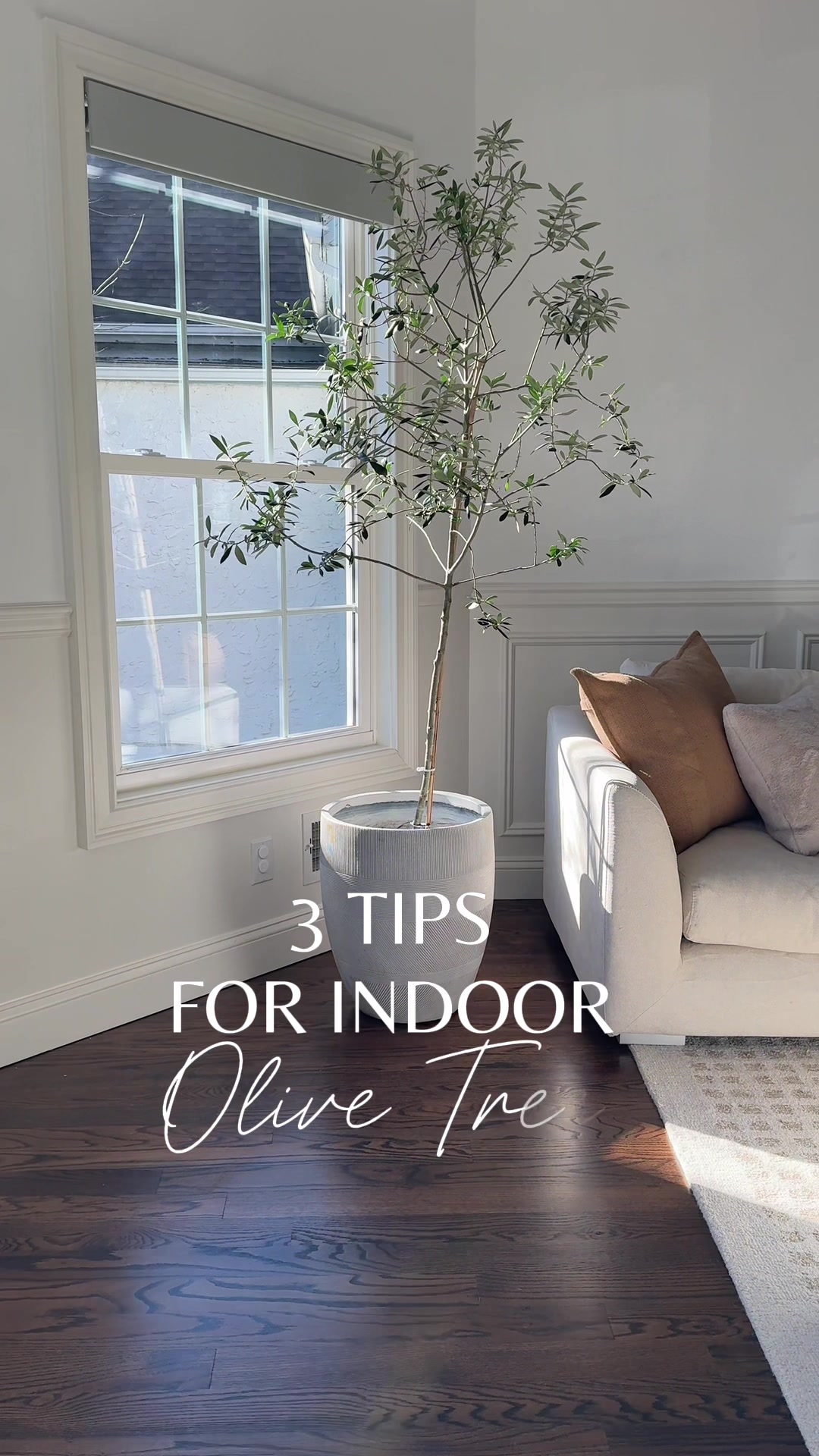 @Erin | Home Stylist & Finds